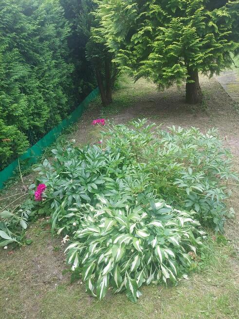 Kawalerka dla singla lub pary