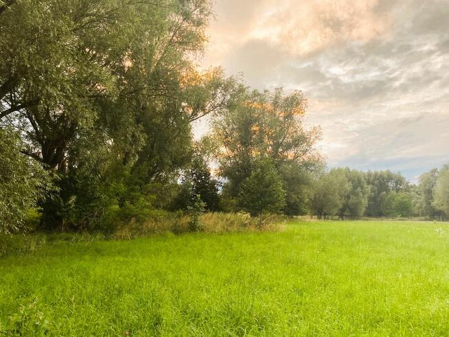 Nieruchomość 16 650 m2 działki budowlane i rolna