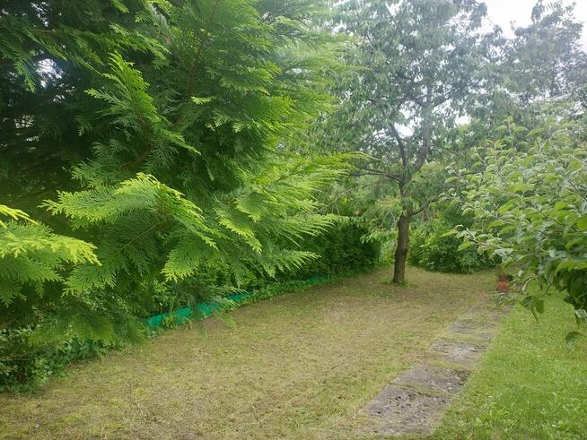 Kawalerka dla singla lub pary