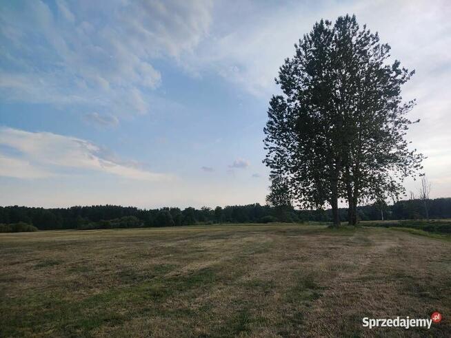 Działka z Potencjałem nad Rzeka Narew 8400m2 Targonie Wielkie