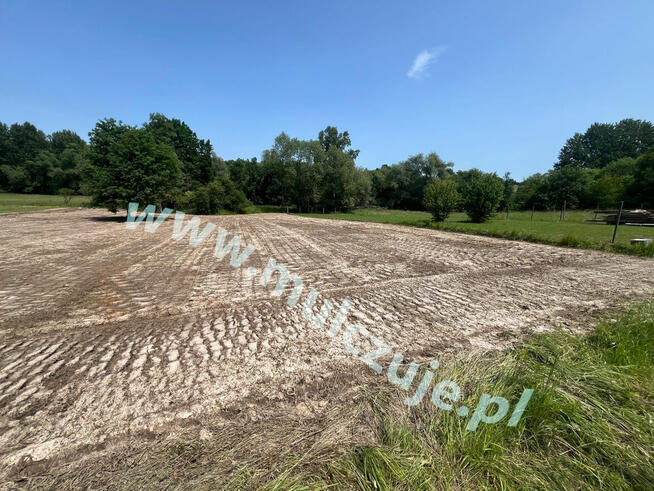 Mulczowanie Olkusz. Czyszczenie działek tel. 575-747-470