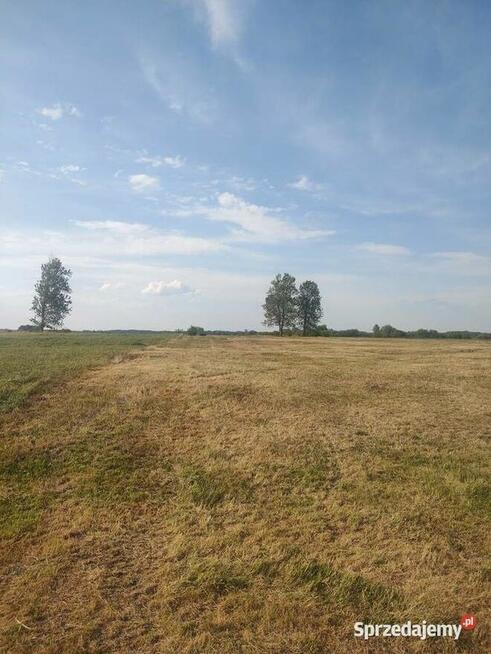Działka z Potencjałem nad Rzeka Narew 8400m2 Targonie Wielkie