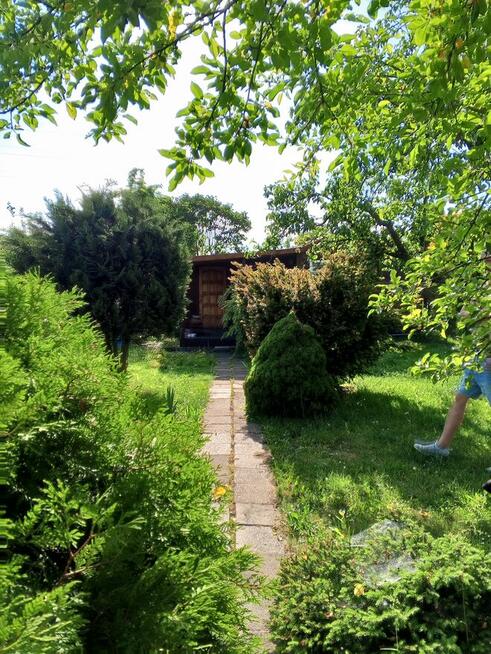 Sprzedam działkę ROD