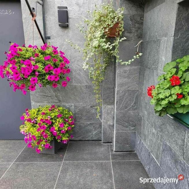 Płytki kwarcyt Silver Grey naturalny 80x40x1,2 cm