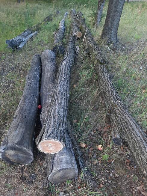 Akacja, Dąb, Jesion 2 lata leżakuje. Deski akacjowe 15 lat le