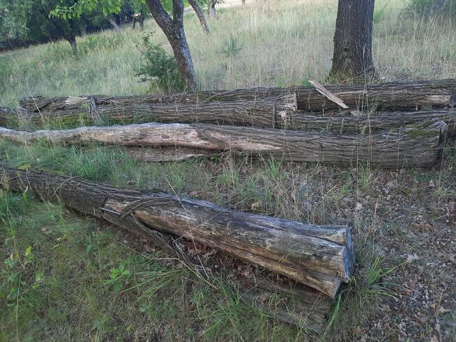 Akacja, Dąb, Jesion 2 lata leżakuje. Deski akacjowe 15 lat le