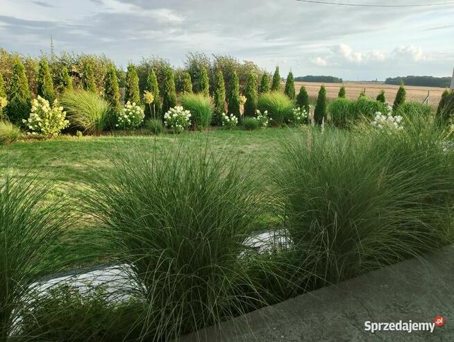 Energooszczędny dom w świetnej lokalizacji