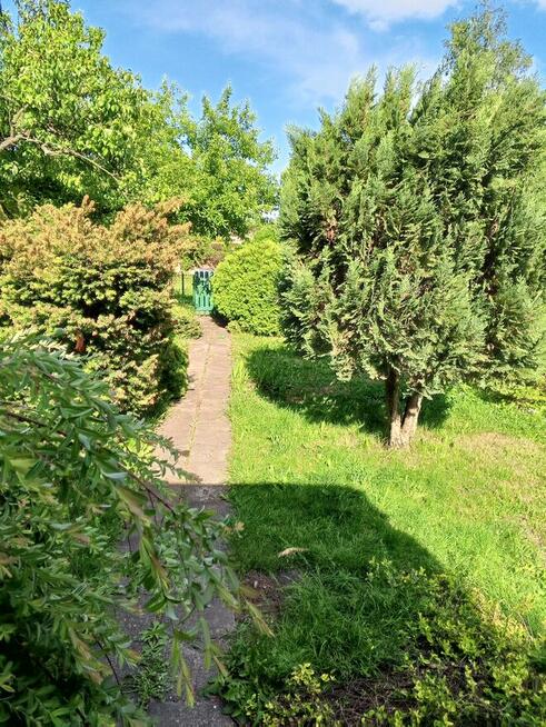 Sprzedam działkę ROD