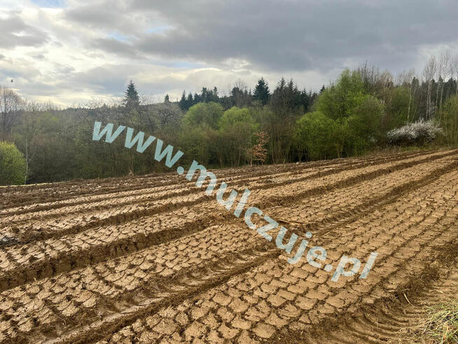 Mulczowanie Olkusz. Czyszczenie działek tel. 575-747-470