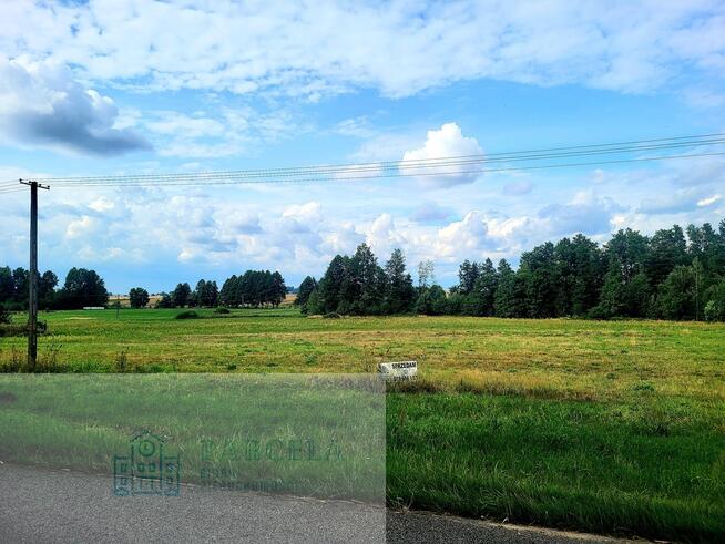 Sprzedam działki budowlane w gm. Wielgomłyny