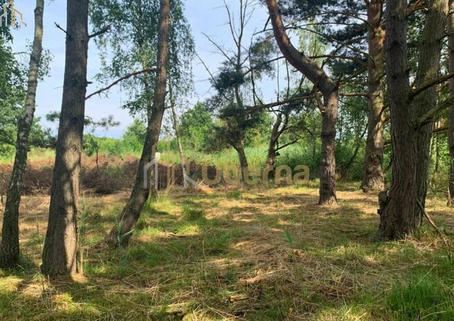 Działka nad morzem
