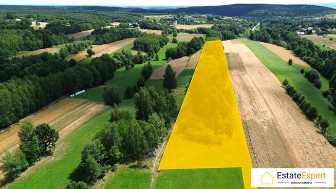 Działka rolna 2,2ha Podmielowiec gm. Bodzentyn