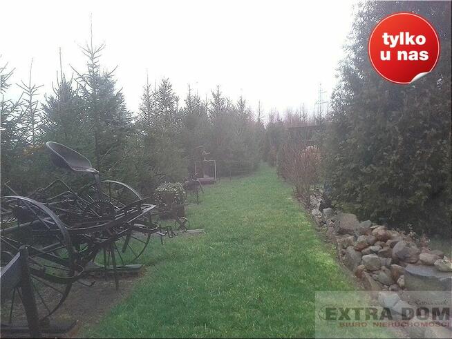 Piękny dom, wspaniały ogród