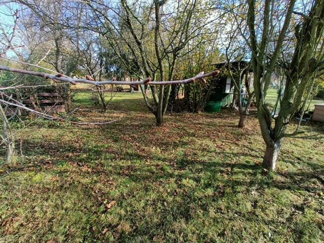 Sprzedam działkę ROD Wrocław muchobór