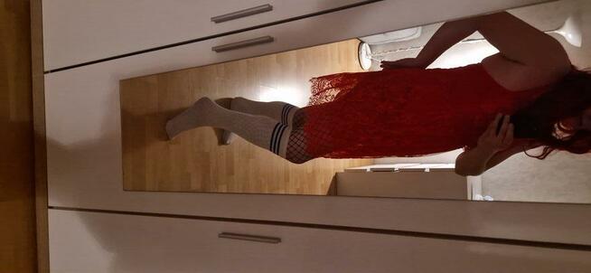 Poczatkujacy CD szuka Pana