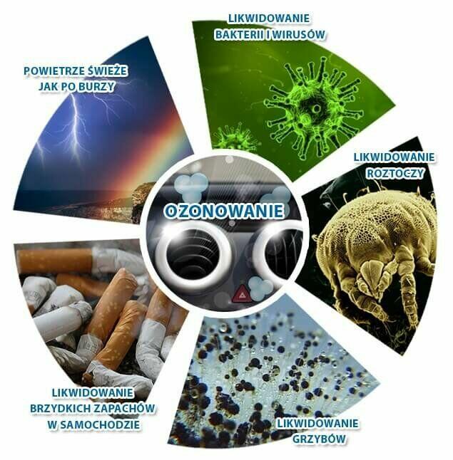Ozonowanie, odgrzybianie, czyszczenie myjką porową