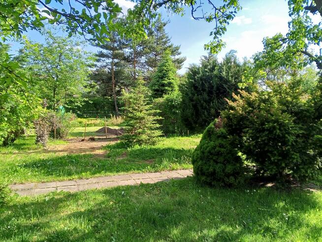 Sprzedam działkę ROD