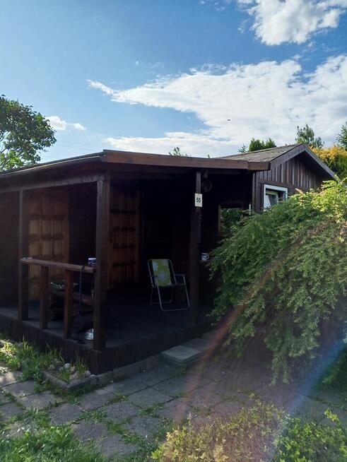 Sprzedam działkę ROD