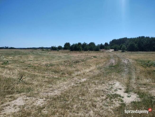 Działka z Potencjałem nad Rzeka Narew 8400m2 Targonie Wielkie