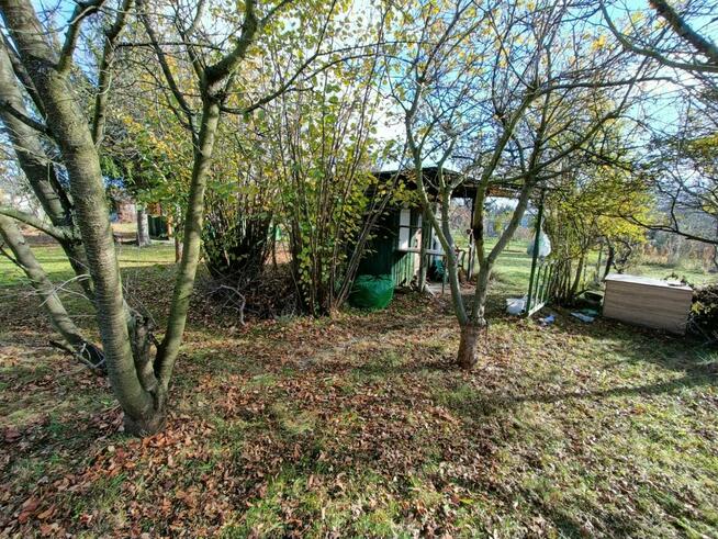 Sprzedam działkę ROD Wrocław muchobór