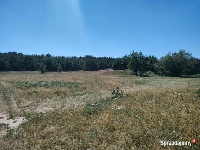 Działka z Potencjałem nad Rzeka Narew 8400m2 Targonie Wielkie