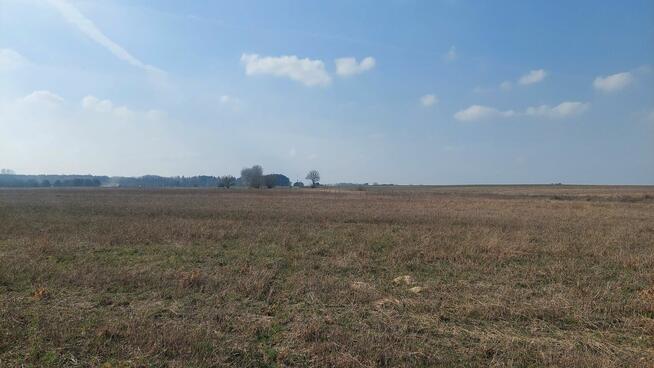 Działka o pow. 1.7 h gm.Parzęczew