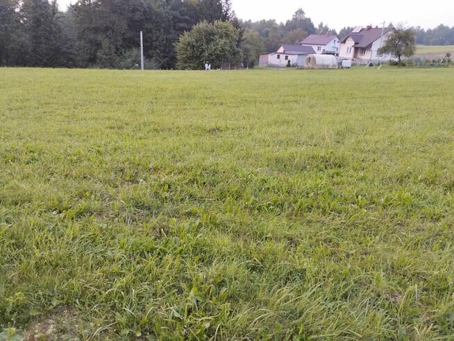 Działka zadbana 38 ar-Bączal Dolny przy drodze, gm.Skołyszyn