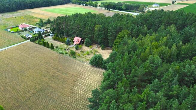 Dom 75 m² przy lesie w małej wsi - Modzele