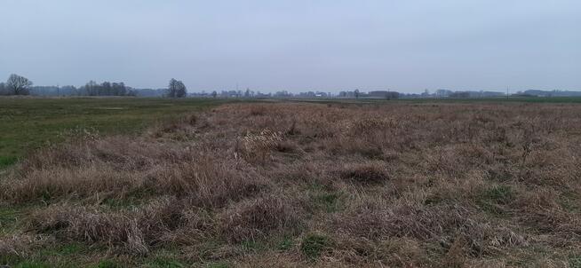 SPRZEDAM DZIALKI ROLNE