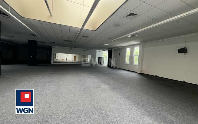 Lokal użytkowy 615 m2 na wynajem Centrum Handlowym w Lubinie