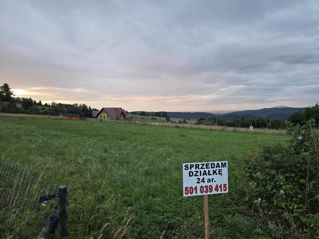 Działka Niedźwiedzica