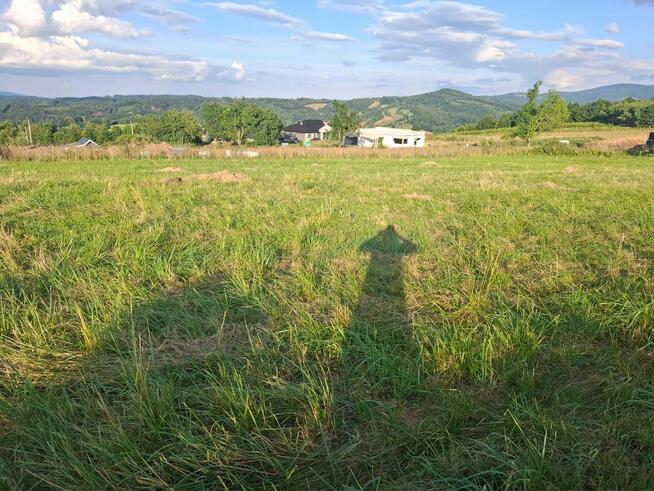 Działka Niedźwiedzica