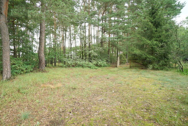 Dom Zbójna, Kolonia Suchy Borek