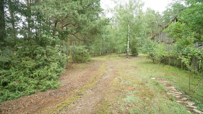 Dom Zbójna, Kolonia Suchy Borek