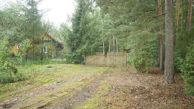 Dom Zbójna, Kolonia Suchy Borek