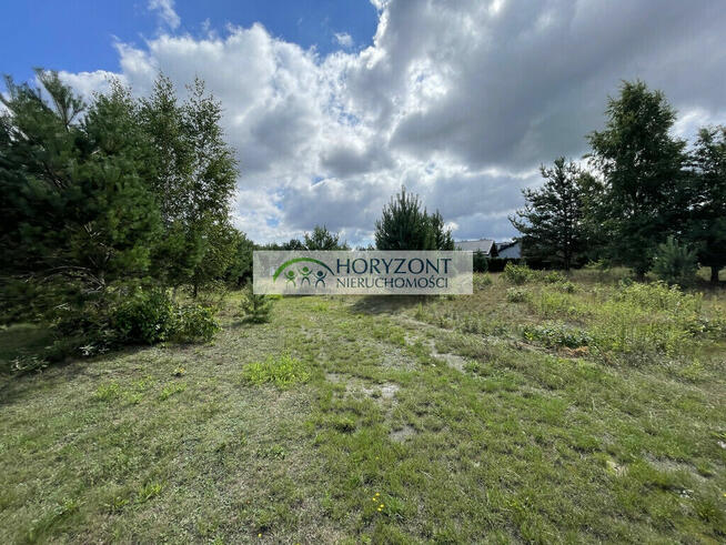 Tuchom - działka przy zagajniku