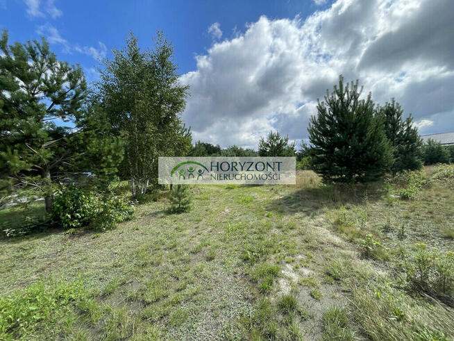 Tuchom - działka przy zagajniku