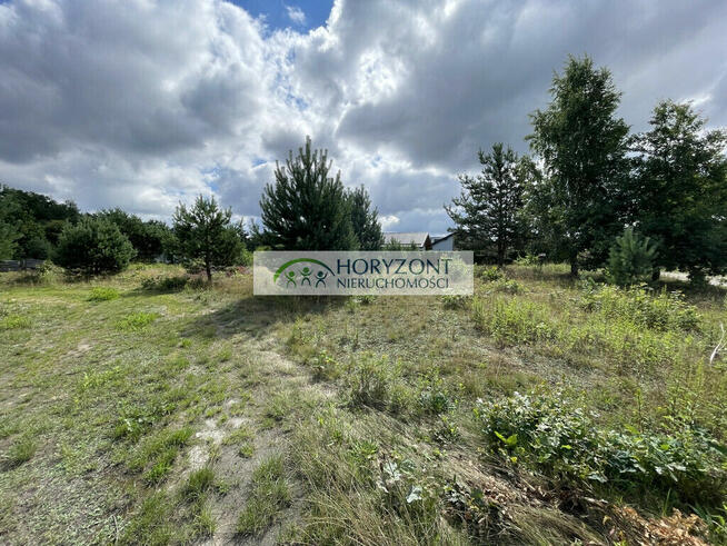 Tuchom - działka przy zagajniku