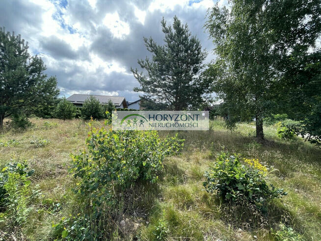 Tuchom - działka przy zagajniku