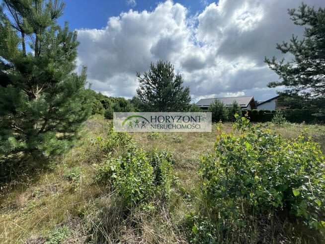 Tuchom - działka przy zagajniku