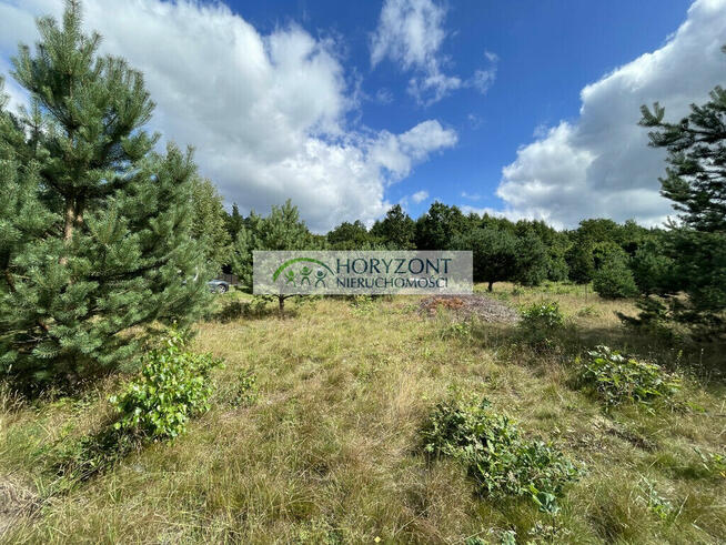 Tuchom - działka przy zagajniku