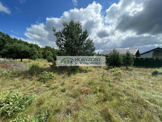 Tuchom - działka przy zagajniku