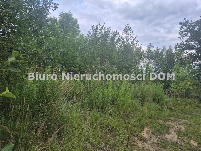 Działka budowlana Brzeziny-Kolonia gm. Poczesna