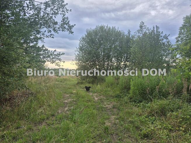 Działka budowlana Brzeziny-Kolonia gm. Poczesna