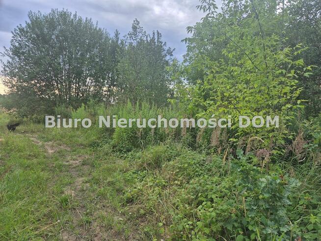 Działka budowlana Brzeziny-Kolonia gm. Poczesna