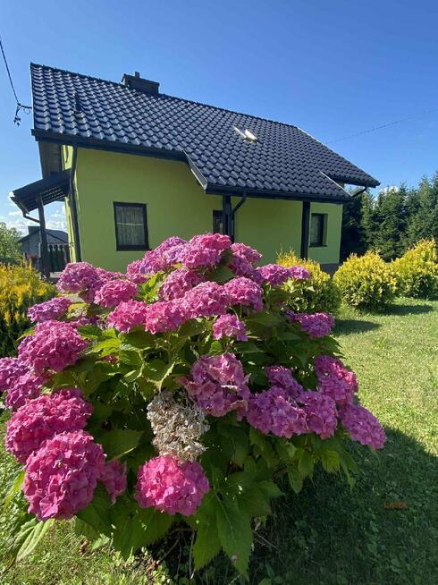 Dom Wyźrał gm. Brzeźnica