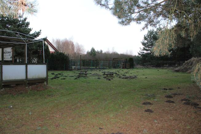 Działka rekreacyjna Rościnno gm. Skoki