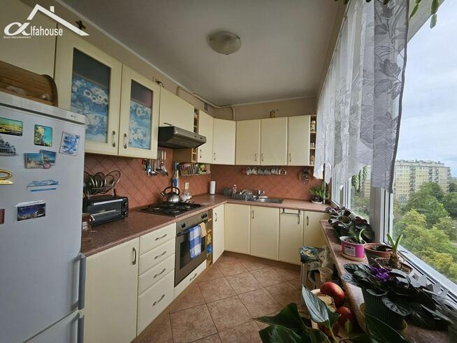 Mieszkanie Lublin, Juranda