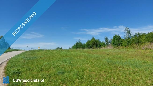 Działka na Jurze, Brzeziny