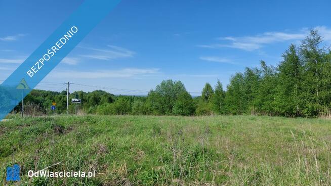 Działka na Jurze, Brzeziny